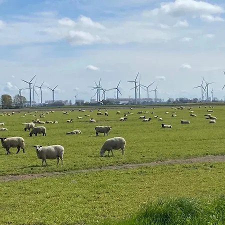 Grosses Doppelzimmer Mit Eigenem Bad Und Kuehlschrank, Frisch Saniert 3* Friedrichskoog
