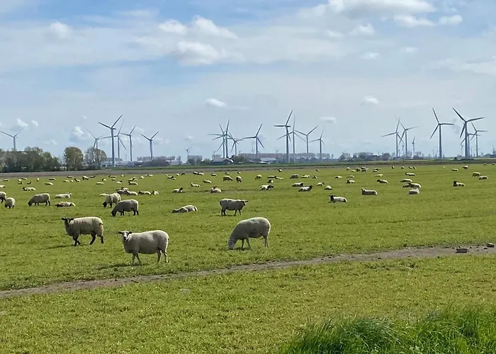 Grosses Doppelzimmer Mit Eigenem Bad Und Kuehlschrank, Frisch Saniert 3* Friedrichskoog