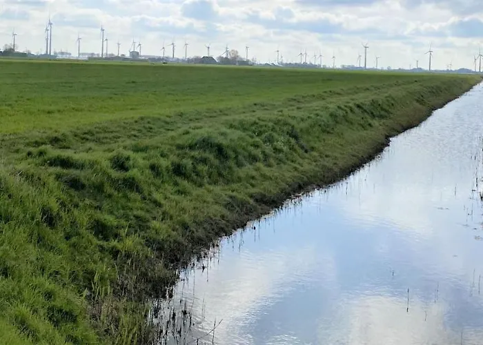 Grosses Doppelzimmer Mit Eigenem Bad Und Kuehlschrank, Frisch Saniert Πανσιόν 3*